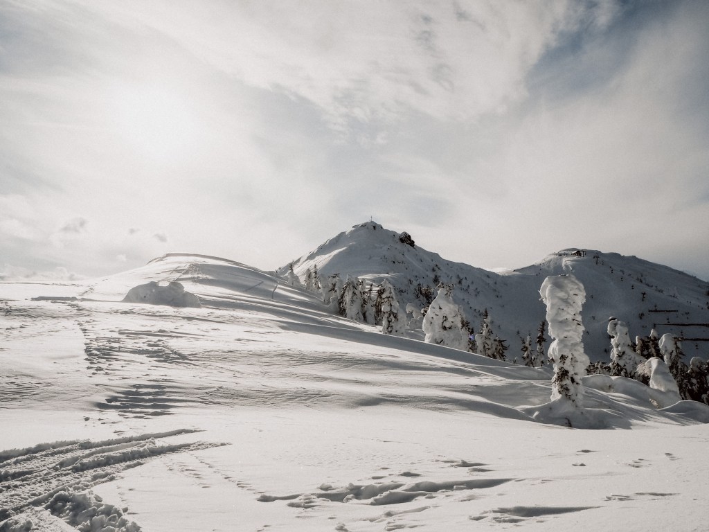 Ski amadé Made my Day Snow Space Salzburg