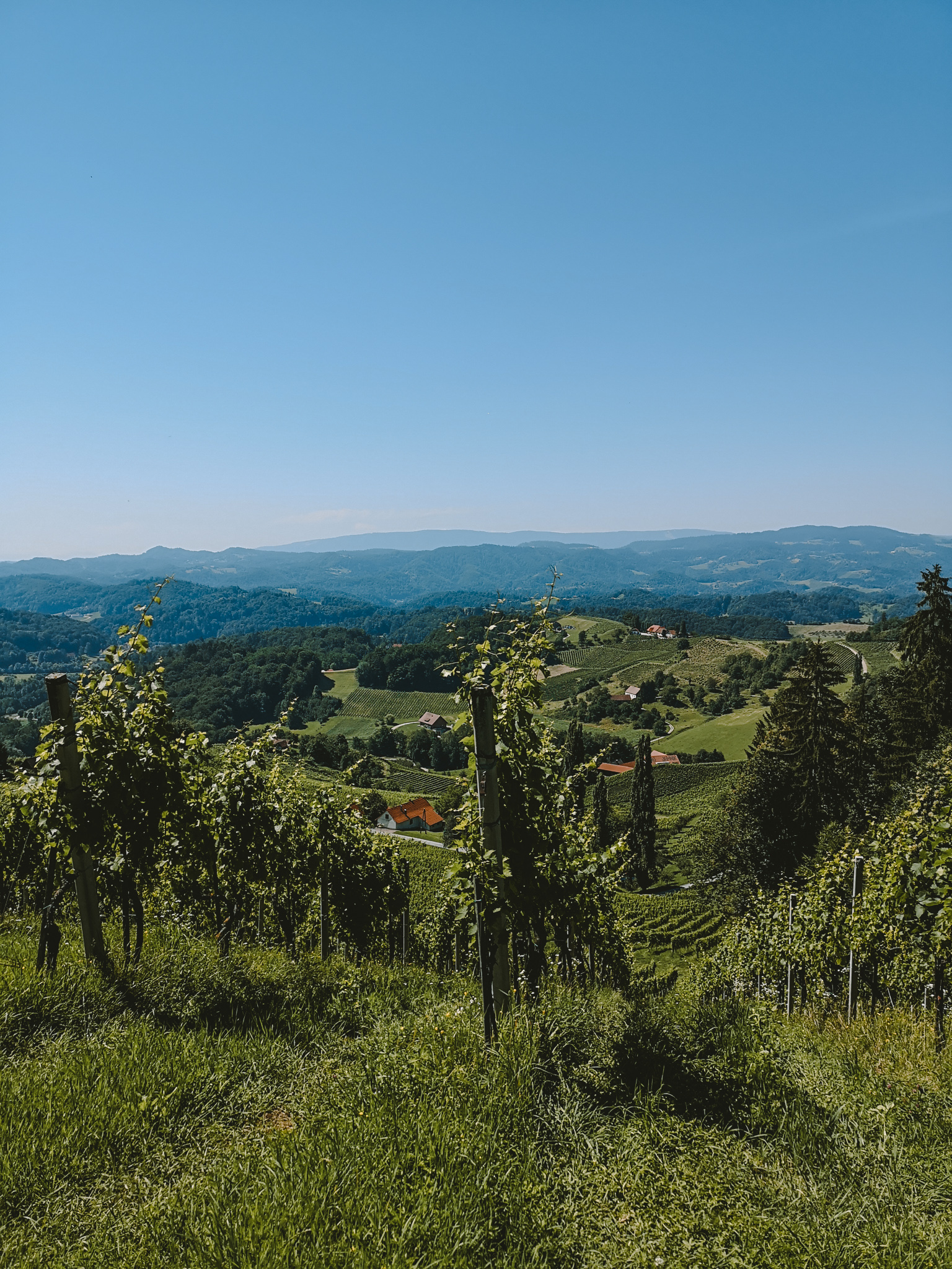 Südsteirische Weinstraße