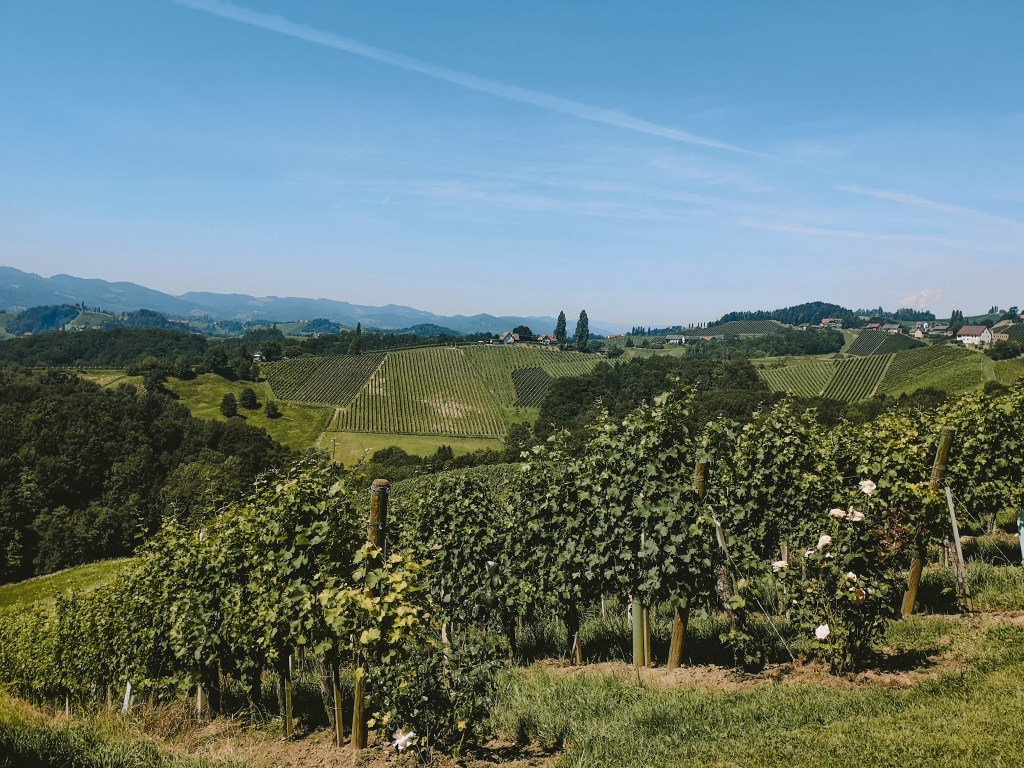 Südsteirische Weinstraße